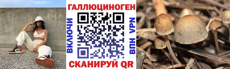 Галлюциногенные грибы GOLDEN TEACHER  Купить закладки  Рузаевка 